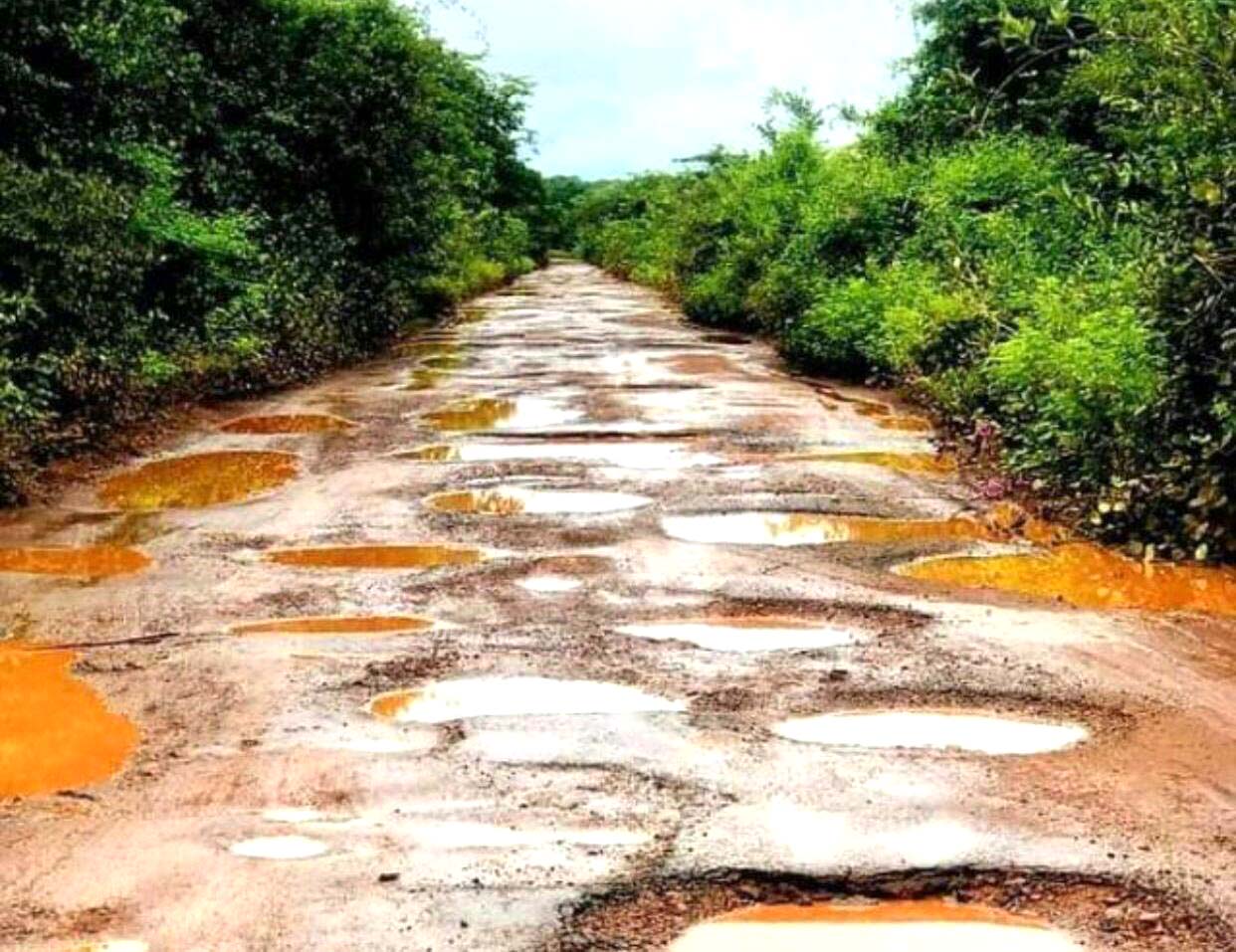 DER confirma cronograma de recuperação de estradas estaduais em todas as regiões